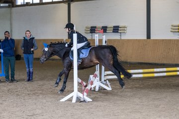 Bild 8 - Pony Akademie Turnier